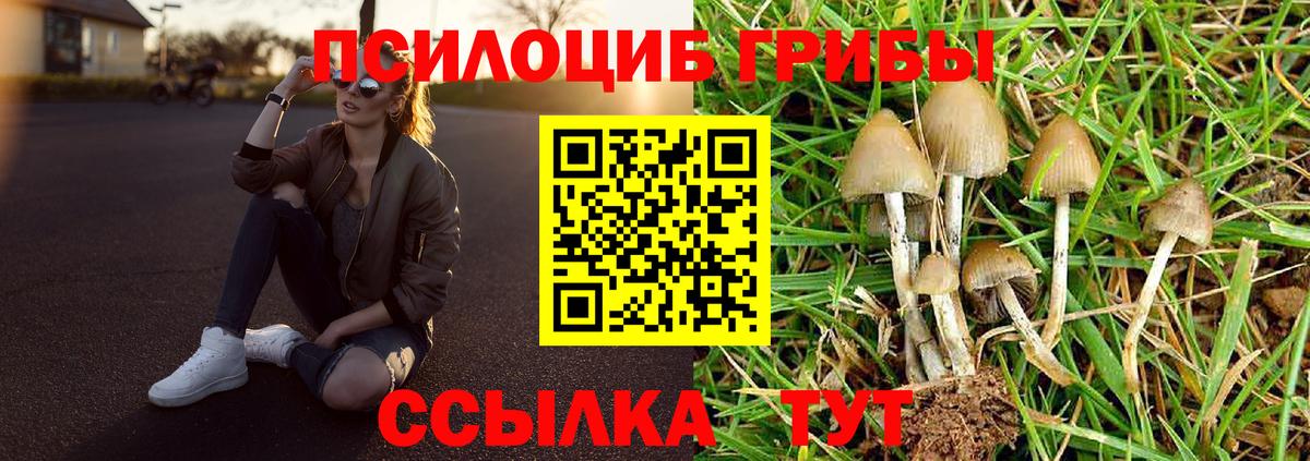 Псилоцибиновые грибы MAGIC MUSHROOMS  Вход с VPN  Каменка 